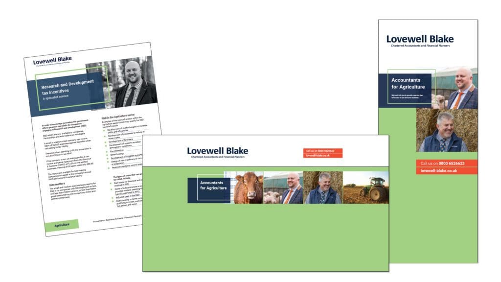 Graphic design for Lovewell Blake