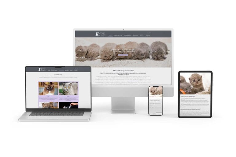 Queen of Cats — Website Design in Norfolk and Suffolk