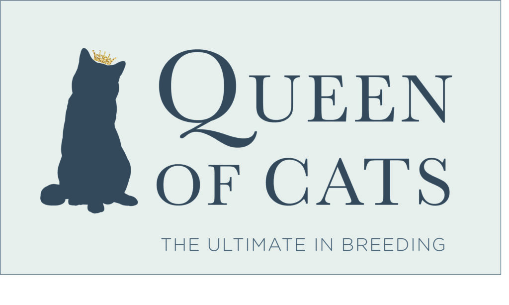 queen of cats logo splice creative norfolk