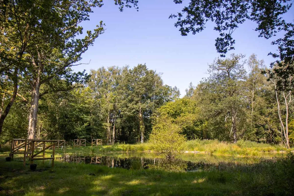 Quidenham Estate Shoot — Website Design in Norfolk